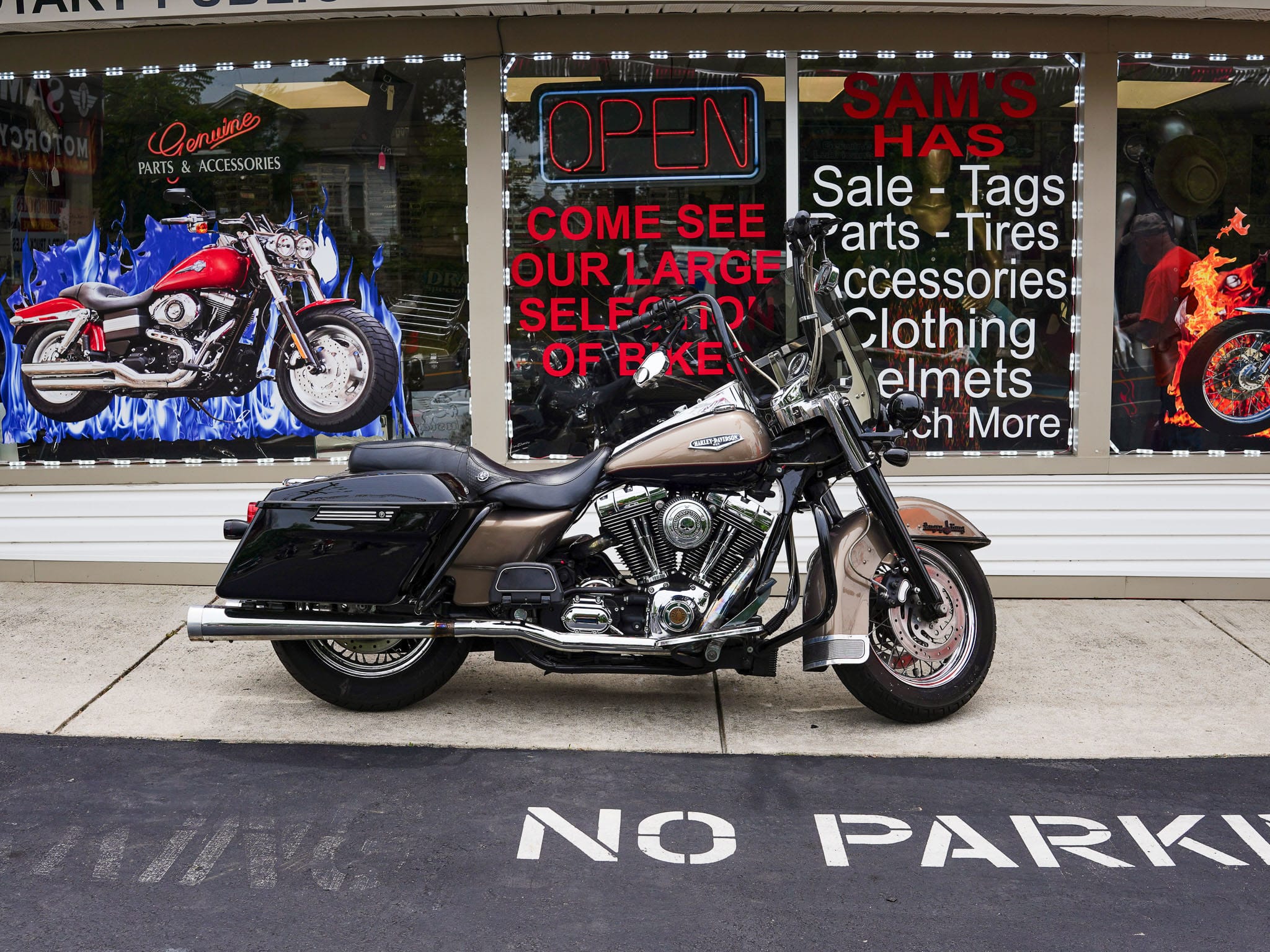 2005 HARLEY DAVIDSON ANGRY KING - Image 5