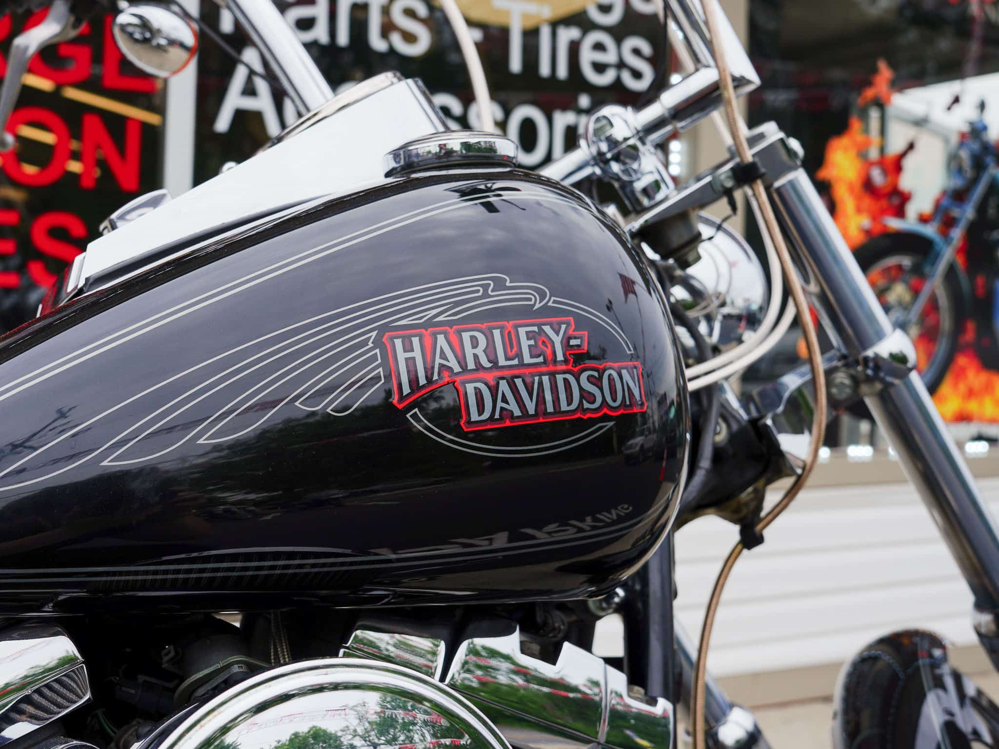 2009 HARLEY DAVIDSON SOFTAIL CUSTOM FXSTC - Image 3