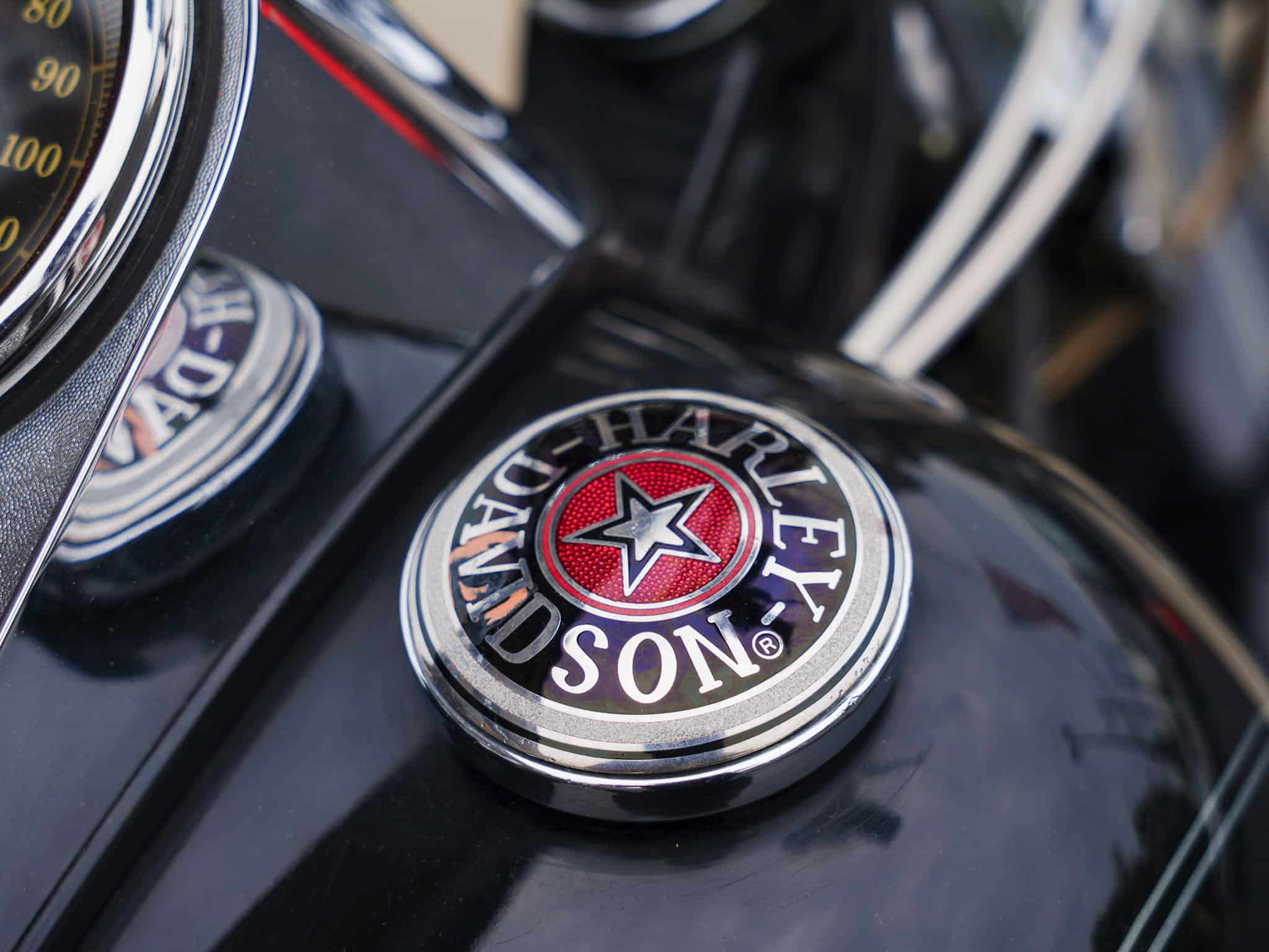 2009 HARLEY DAVIDSON SOFTAIL CUSTOM FXSTC - Image 13