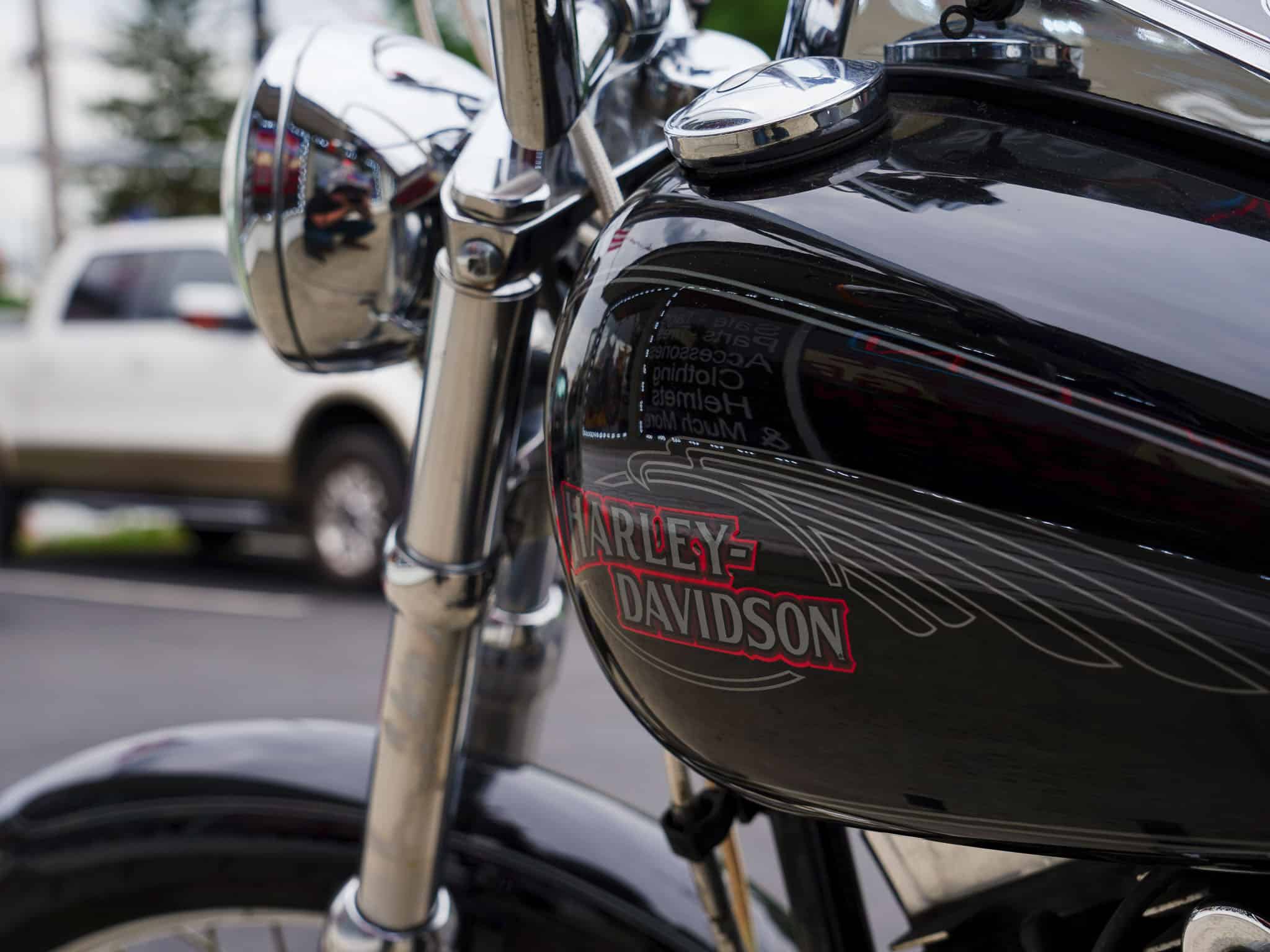 2009 HARLEY DAVIDSON SOFTAIL CUSTOM FXSTC - Image 4