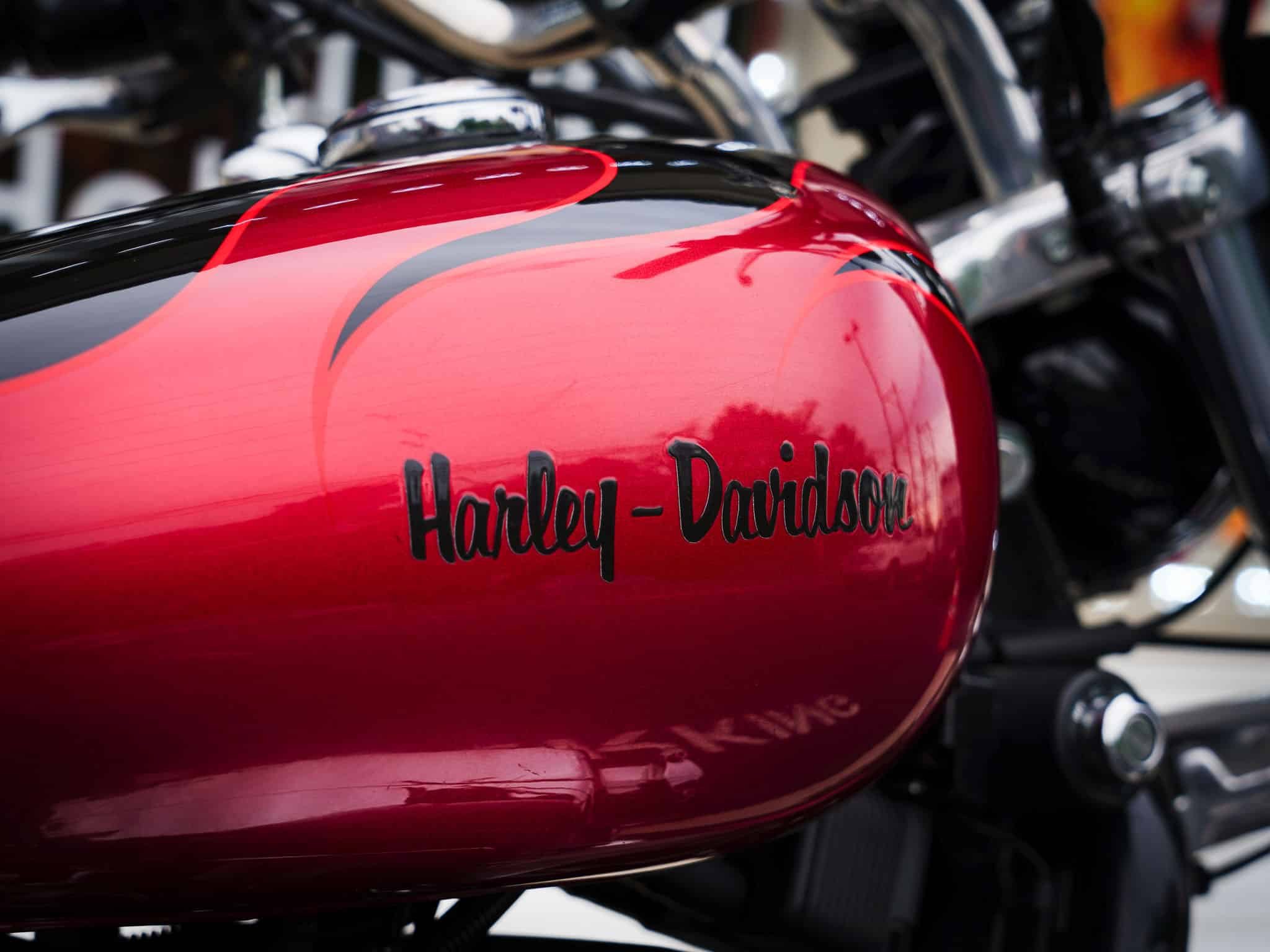 2004 HARLEY DAVIDSON SPORTSTER 883 - Image 7