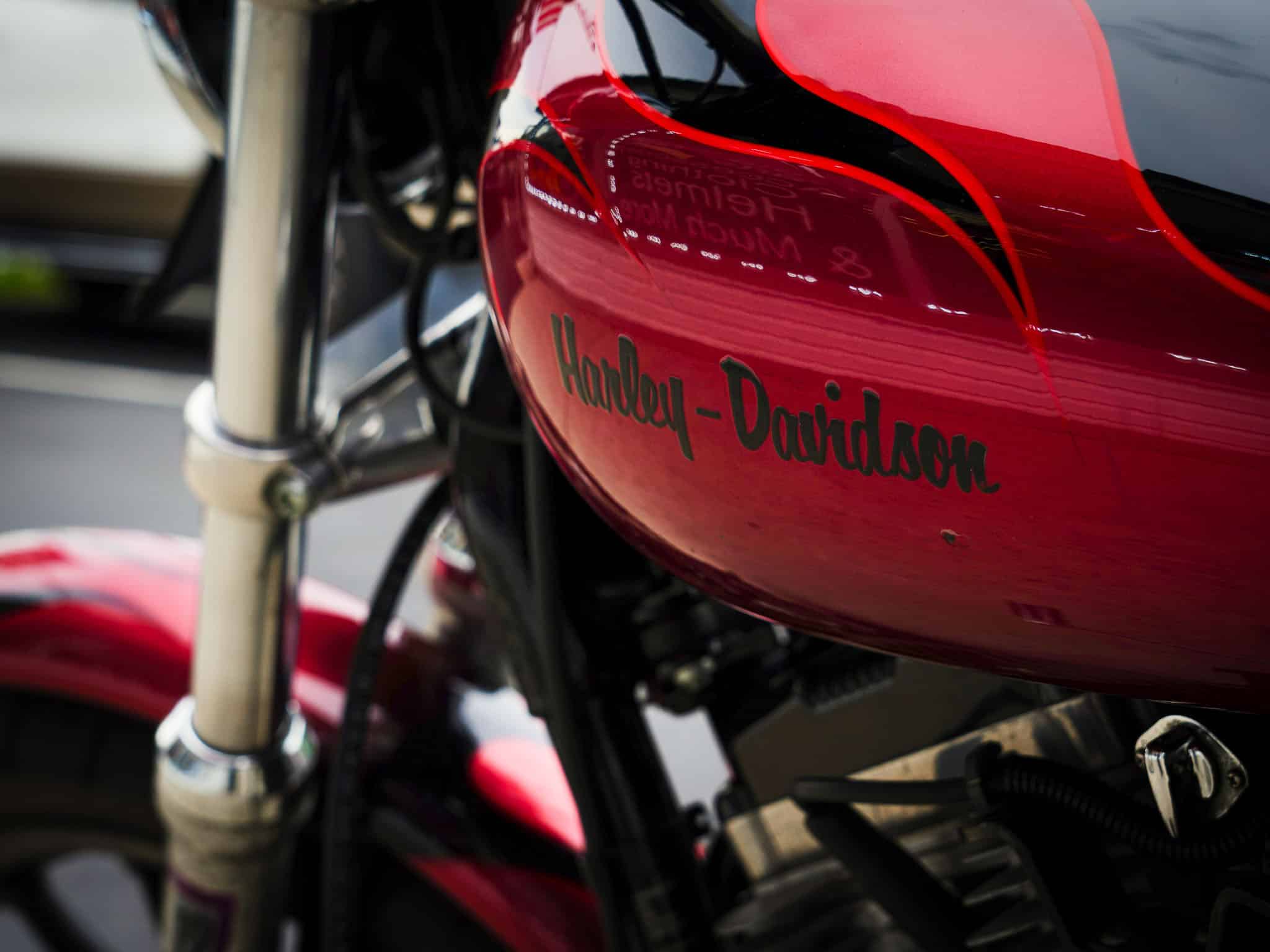 2004 HARLEY DAVIDSON SPORTSTER 883 - Image 13